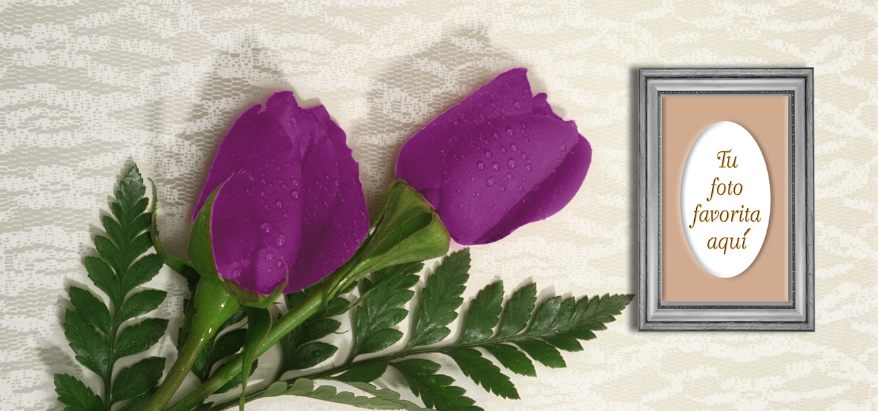 2 Roses Orchid (Spanish)